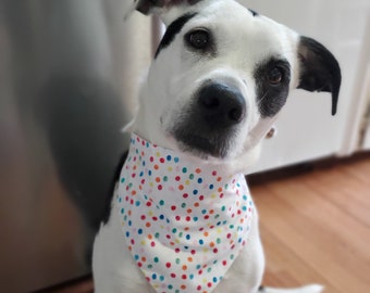 Birthday dog bandana, pet bandana, cat bandana, slip on bandana, elastic bandana, dog gifts, cat gifts, dog mom, dog dad, Meraki By Mary