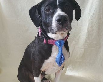 Triangle pattern dog necktie with velcro, cat necktie, tie for collar, dog gifts, cat gift, pet accessories, slip on tie, necktie for collar