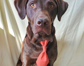 red stripes dog necktie with velcro, cat necktie, dog tie for collar, dog gifts, cat gifts, pet accessories, slip on tie, necktie for collar