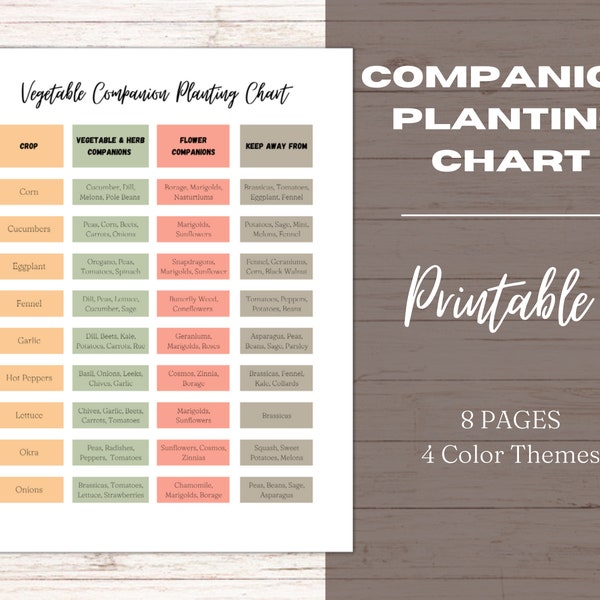 Vegetable Garden Companion Planting Guide and Template, Garden Layout Planner, Companion Planting Garden Printable