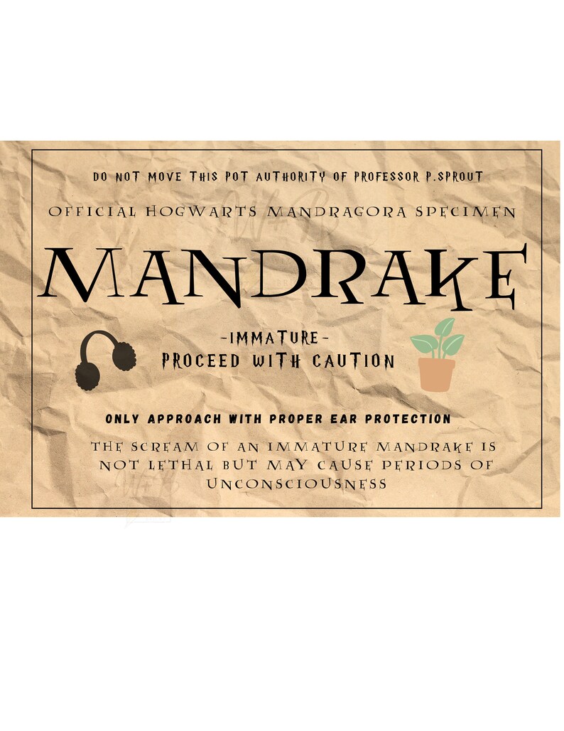 HP Mandrake Root Label Instant Download - Etsy