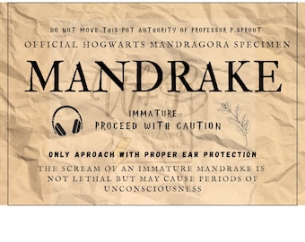 Mandrake Plant Label*instant Download* 2 Versions Included - Etsy