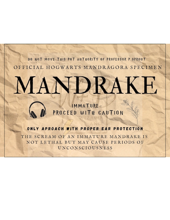 Mandrake Plant Label*instant Download* 2 Versions Included - Etsy