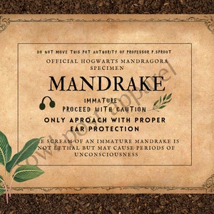 MANDRAKE Plant Labels - Editable! Pack of 9 Unique Labels - Etsy