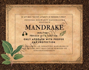 MANDRAKE マンドレイク　フライヤー　チラシ　４枚セット MANDRAKE Plant Labels - Editable! Pack of 9 Unique Labels - Etsy