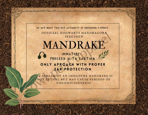 MANDRAKE Plant Labels - Editable! Pack of 9 Unique Labels - Etsy