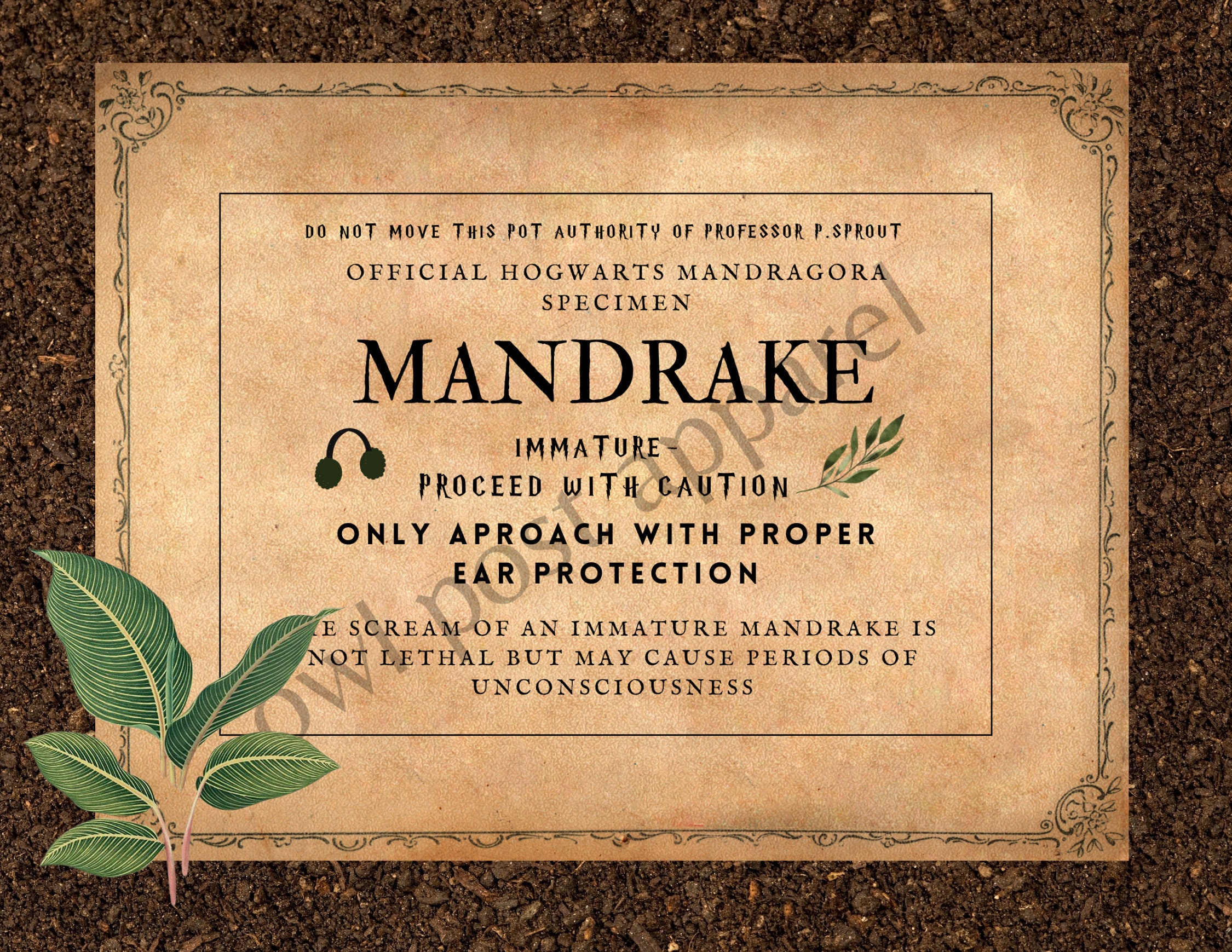 Mandrake Plant Stylized Baby Mandragora Magic Herbology 