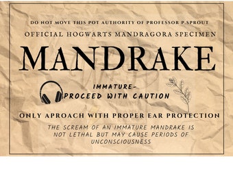 Mandrake Plant Label*instant Download* 2 Versions Included - Etsy