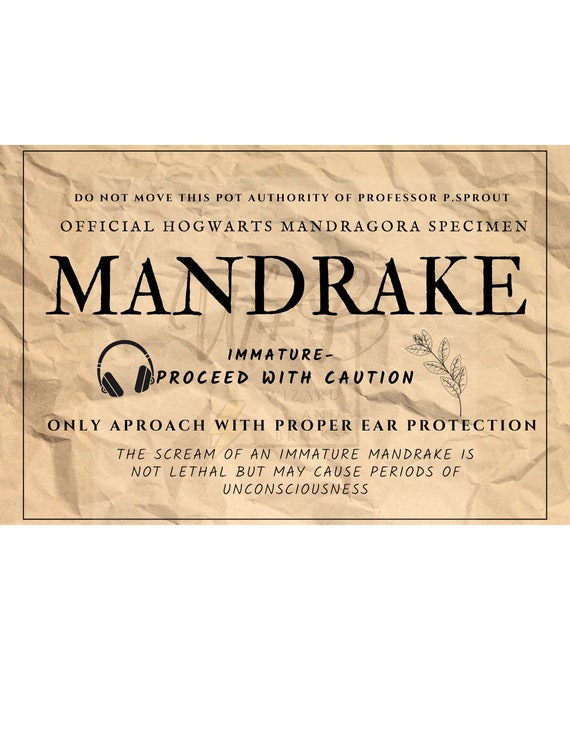 Mandrake Plant Label*instant Download* 2 Versions Included - Etsy