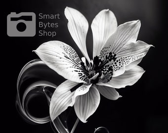 Stampa artistica con vortice di orchidee in bianco e nero (download digitale)