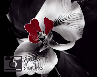 Stampa artistica di orchidee in bianco e nero: decorazione floreale moderna da parete (download digitale)