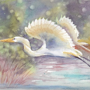 Snow Egret Print, Watercolor Painting, Flight Of The Snowy Egrett, Museum Quality Fine Art Print