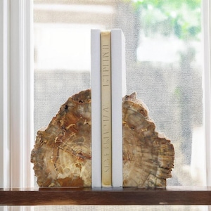 Versteinertes Holz Fossilien Buchstützen & Polierte Holzscheibe Dekoration | Versteinertes Holz Dekor | Bücherregal Dekor | Natur Dekor | Holz Dekor