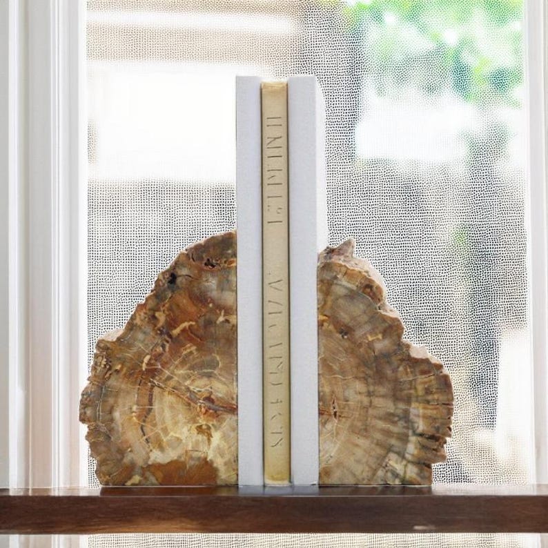 Artistic Wood Fossil Bookends & Polished Wood Slice Decoration Home ...