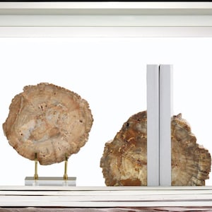 Fossile Buchstützen & polierte Scheibe Dekoration | Versteinertes Holz | Bücherregal Dekor | Natur Dekor | Versteinertes Holz Buchstützen | Versteinerte Kunst