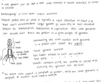 MCAT Review Notes Over 200 Pages PDF Handwritten Sheets Chemistry Biology Orgo