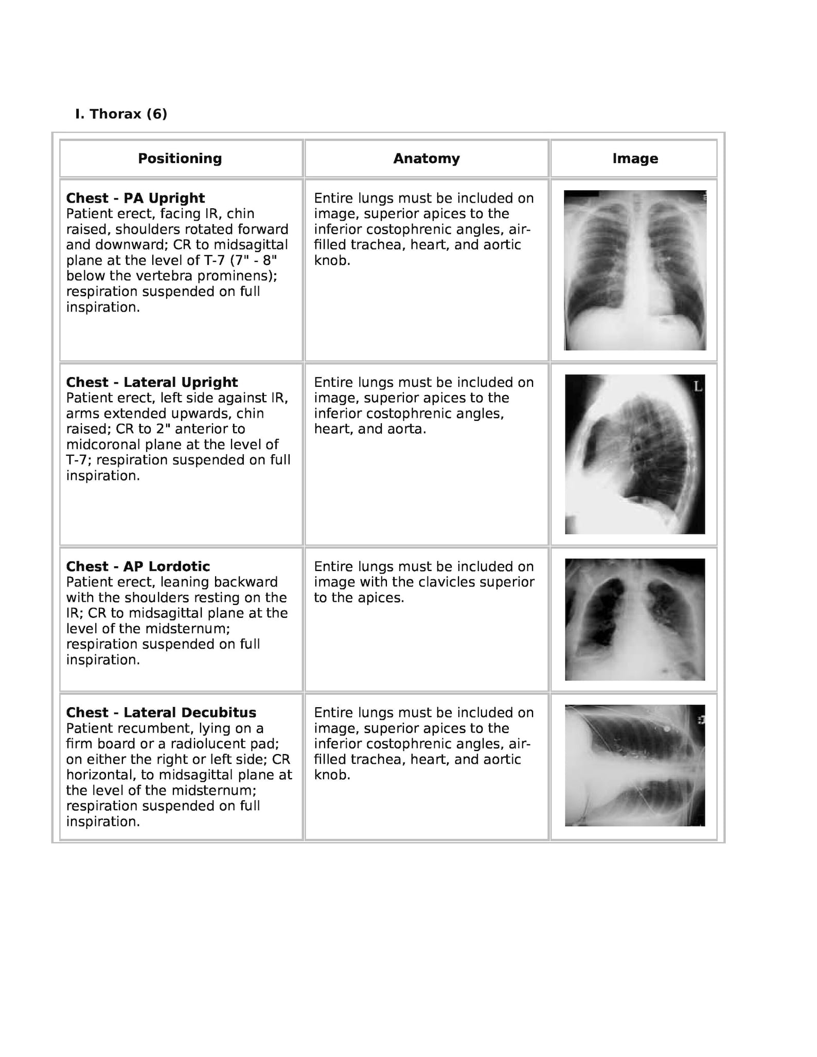 Radiology Technology Review Notes Over 100 Pages ARRT PDF Typed Sheets