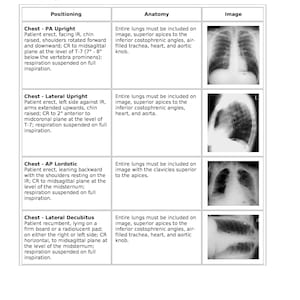 Radiology Technology Review Notes Over 100 Pages ARRT PDF Typed Sheets X-Ray Rad Tech Radiologic Technology