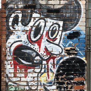 Dallas Graffiti/Street Art - Tears of Blood [Digital Download]