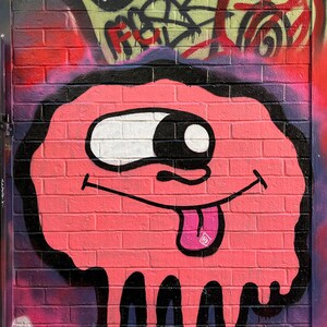 Toronto Graffiti/Street Art - Pink Blob [Digital Download]