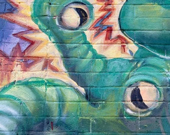 Dallas Graffiti/Street Art - Monster Eyeball [Digital Download]