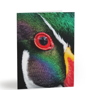 Juego de tarjetas de notas con forma de ojo de pato de madera personalizado con sobres, tarjeta de felicitación de pato de madera, tarjeta de agradecimiento de pájaro, regalo para observador de aves, tarjeta de notas de naturaleza, tarjeta de pájaro
