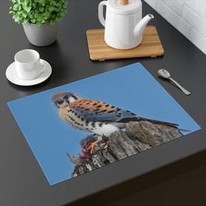Kestrel with Prey Placemat, 1pc, Gift for Birder, Bird of Prey, Nature Themed Decor Kestrel Lover Gift, Bird Tablemat, Bird Placemat