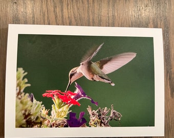 Hummingbird Note Cards