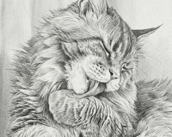 Pet Memorial Gift