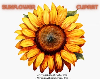 Sunflower Watercolor Clipart Bundle - PNG Floral Bouquets, digital art, graphic design, printable art, scrapbooking, full Commercial Use