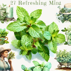 Clipart Premium Watercolor Mint Bundle - Tema de ervas - PNG transparente Limonada de menta, Chocolate de menta, Buquê de menta, Imagens de chá de menta e muito mais