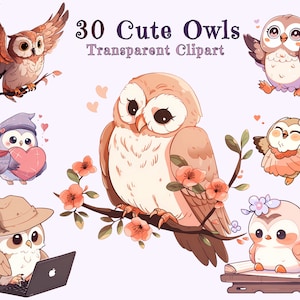Adorable Owl Clipart Bundle - 30 Cartoon Style Owls for Nursery Decor, Stickers - School, Studying, Dancing, and More -Transparent PNGs