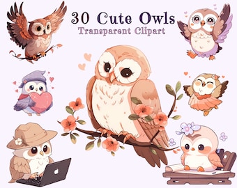 Cute Owl Clipart Bundle, 30 Cartoon Owl PNG, Baby Shower Nursery Stickers, Woodland Scrapbook Digital Download