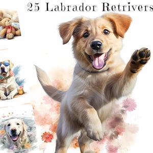 Adorable Labrador Retriever Clipart Bundle, Images PNG de haute qualité, Chiens ludiques et drôles avec des lunettes de soleil, Labradors endormis, Utilisation commerciale