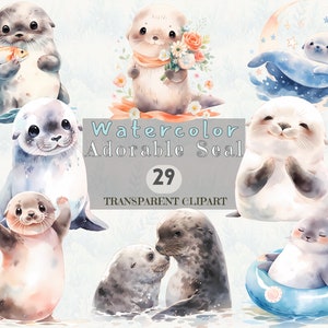 Watercolor Cute Seals - Animals Clipart Cute Nursery Decor Bundle For Kids Seal Nursery Adorable Baby Shower PNG, Commercial use