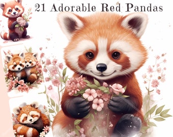 Roter Panda Aquarell Clipart Bundle: Floral PNG Bilder (kommerzielle Nutzung)