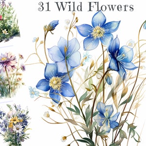 Pacote de clipart em aquarela de flores silvestres - florais botânicos, ilustrações de flores silvestres, coroas de flores - projetos DIY, álbum de recortes