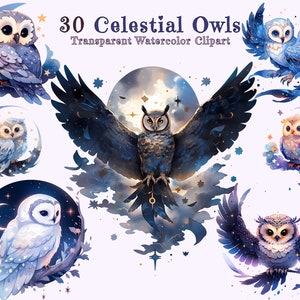 Aquarell himmlische Eulen Clipart Bundle: Weise und süße Eulen, Mond und Sterne, Sternenhimmel - Hochwertige PNGs, Sofort Download