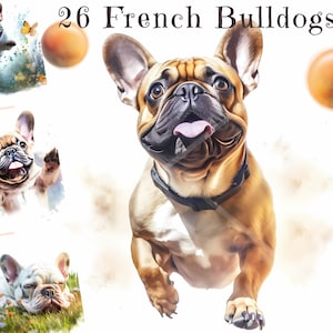 Entzückende Aquarell Französische Bulldogge Clipart: Charmante Frenchie Welpen & Hunde PNG Bilder - bereit zum sofortigen Download, kommerzielle Nutzung