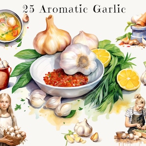 Aquarel knoflook digitale clipart bundel - commercieel gebruik, aromatische knoflook thema PNG-afbeeldingen, knoflookbrood & voedselillustraties
