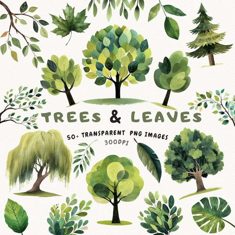 Watercolor Tree Clipart Bundle – 50+ Nature-inspired Illustrations ...