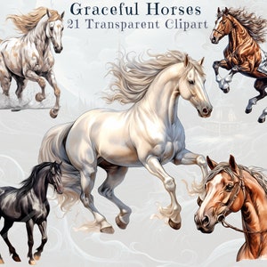 Bundle Clipart cheval gracieux | 21 PNG transparents | Illustrations de chevaux au galop, debout et relaxant | Style aquarelle | Téléchargement instantané