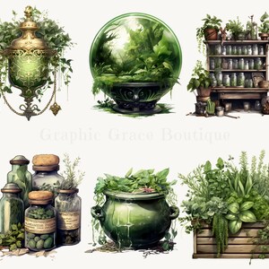 Puede incluir: Ilustraciones en acuarela de elementos de tem&aacute;tica de boticario. La imagen presenta una linterna decorativa verde y dorada, un terrario de cristal, una estanter&iacute;a con tarros y una caja de madera llena de hierbas. Otros elementos incluyen un caldero y tarros de cristal con tapones de corcho.