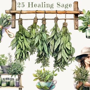 Pacote de clipart de sálvia curativa em aquarela: plantas de sálvia, ervas secas, buquê, coroa de sálvia - perfeito para scrapbooking, uso comercial