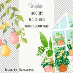 Pu&ograve; includere: Illustrazione ad acquerello con una serra, piante in vaso e lampadine sospese. L'immagine include il testo "Graphic Boutique", "300 DPI", "12 x 12 INCHES", "3600 x 3600 PIXELS" e "TRANSPARENT BACKGROUNDS".