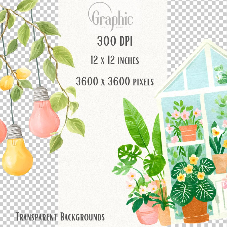 Pu&ograve; includere: Illustrazione ad acquerello con una serra, piante in vaso e lampadine sospese. L'immagine include il testo "Graphic Boutique", "300 DPI", "12 x 12 INCHES", "3600 x 3600 PIXELS" e "TRANSPARENT BACKGROUNDS".