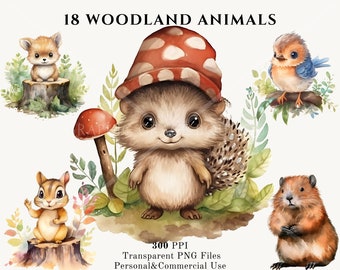 Watercolor Woodland Animals Clipart: Nursery PNGs (Commercial Use)