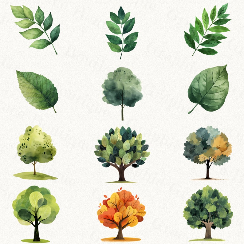 Watercolor Tree Clipart Bundle – 50+ Nature-inspired Illustrations ...
