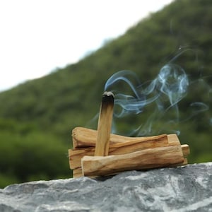Palo Santo Sticks Premium Quality - from Peru - holy wood - Bursera Graveolens - incense