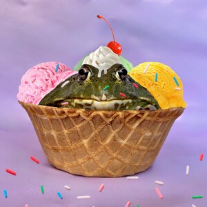 May include: A green frog peeking out of a waffle cone filled with pink, green, and yellow ice cream. The ice cream is topped with a red cherry and sprinkles.